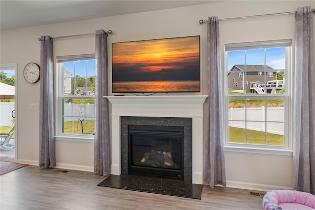 254 Longleaf Ln, Walworth, NY 14502 - detailed view of wood finished floors and a glass covered fireplace