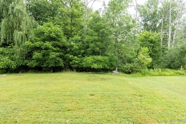 6855 Revere Dr, Evans, NY 14047 - photo 18