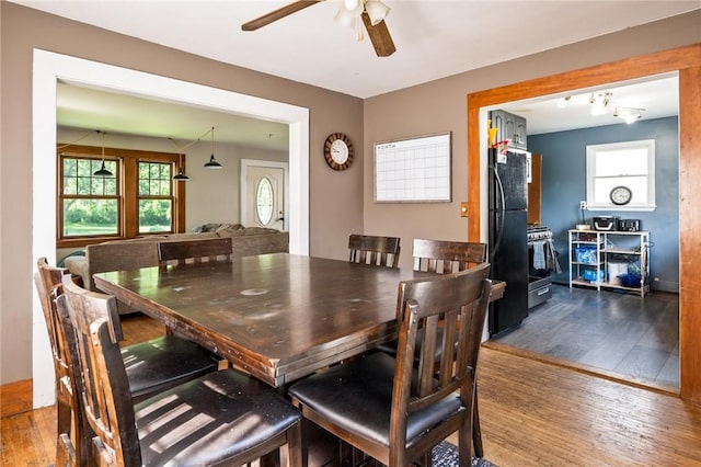 67 Pleasant St, Phelps, NY 14532 - dining room featuring wood-type flooring, ceiling fan, and healthy amount of natural light