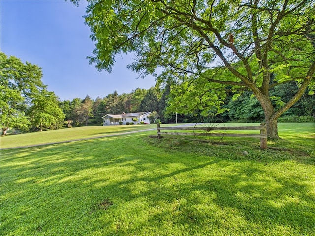 1041 Rte 44, Shinglehouse, PA 16748 - view of grassy yard with a forest view
