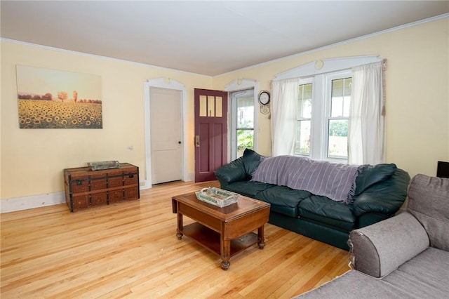 130 Stark Ave, Milo, NY 14527 - living area featuring wood finished floors and ornamental molding