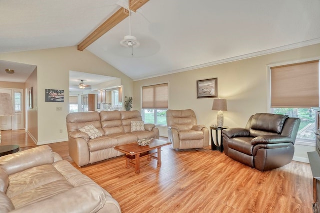 160 Cranbrook Ter, Webster, NY 14580 - living area featuring a ceiling fan, light wood finished floors, and plenty of natural light