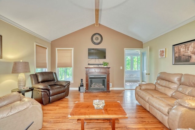 160 Cranbrook Ter, Webster, NY 14580 - living area featuring light wood finished floors, a glass covered fireplace, and crown molding