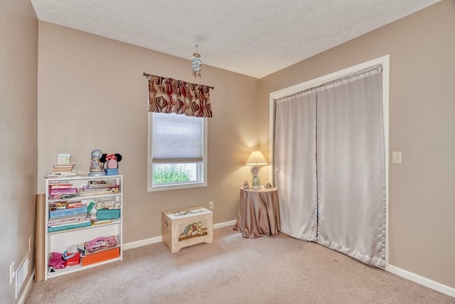 160 Cranbrook Ter, Webster, NY 14580 - recreation room with carpet floors and a textured ceiling