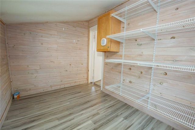 17 Orchard St, Canisteo, NY 14823 - spacious closet with light wood-type flooring and vaulted ceiling
