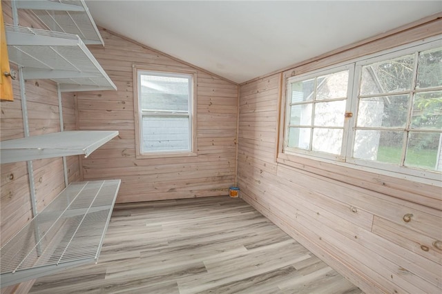 17 Orchard St, Canisteo, NY 14823 - view of storage area