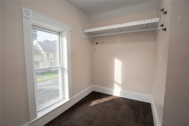 17 Orchard St, Canisteo, NY 14823 - walk in closet with dark carpet