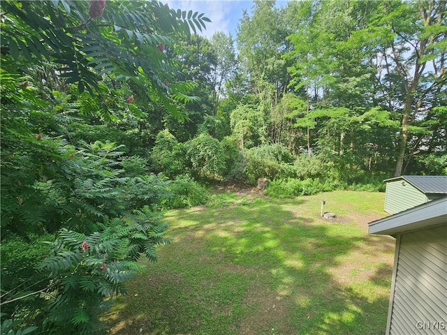 147 N St, Constantia, NY 13042 - view of grassy yard