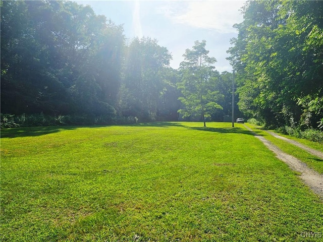 147 N St, Constantia, NY 13042 - view of green lawn with dirt driveway