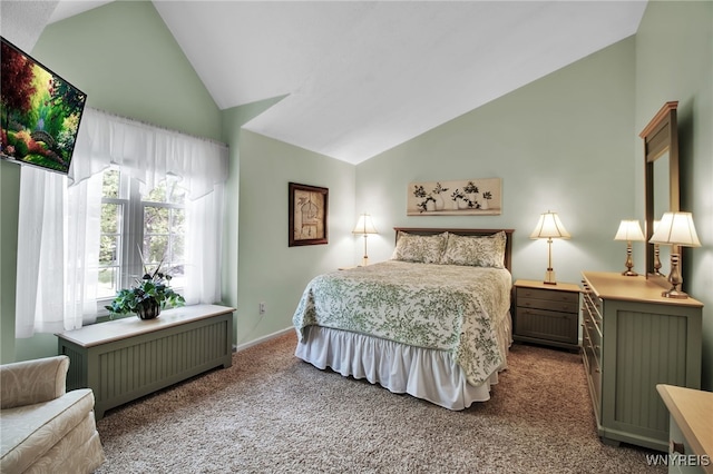 21 Towne Square Dr, Lancaster, NY 14086 - carpeted bedroom featuring radiator heating unit and high vaulted ceiling