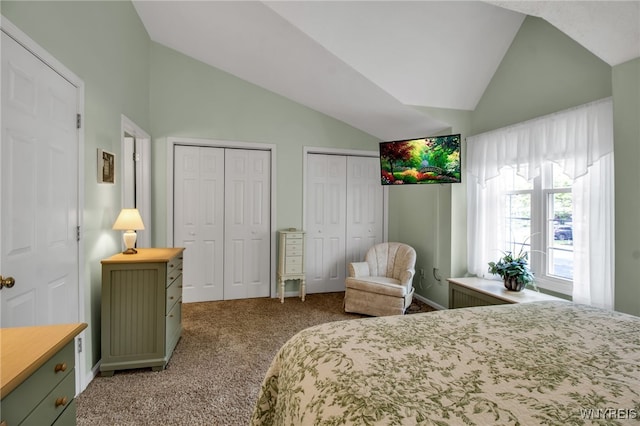 21 Towne Square Dr, Lancaster, NY 14086 - carpeted bedroom featuring lofted ceiling and multiple closets