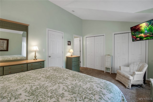 21 Towne Square Dr, Lancaster, NY 14086 - bedroom featuring carpet floors, multiple closets, and high vaulted ceiling