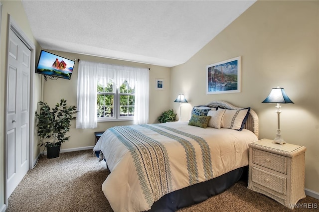 21 Towne Square Dr, Lancaster, NY 14086 - bedroom featuring carpet floors and vaulted ceiling