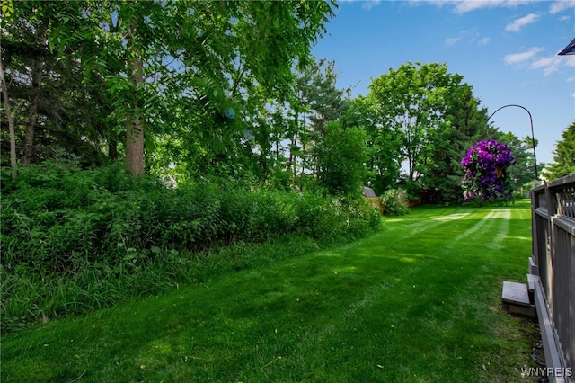 21 Towne Square Dr, Lancaster, NY 14086 - view of green lawn