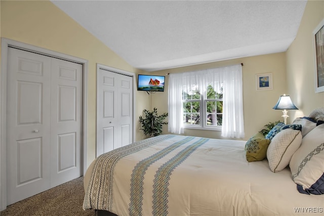 21 Towne Square Dr, Lancaster, NY 14086 - carpeted bedroom featuring lofted ceiling and two closets