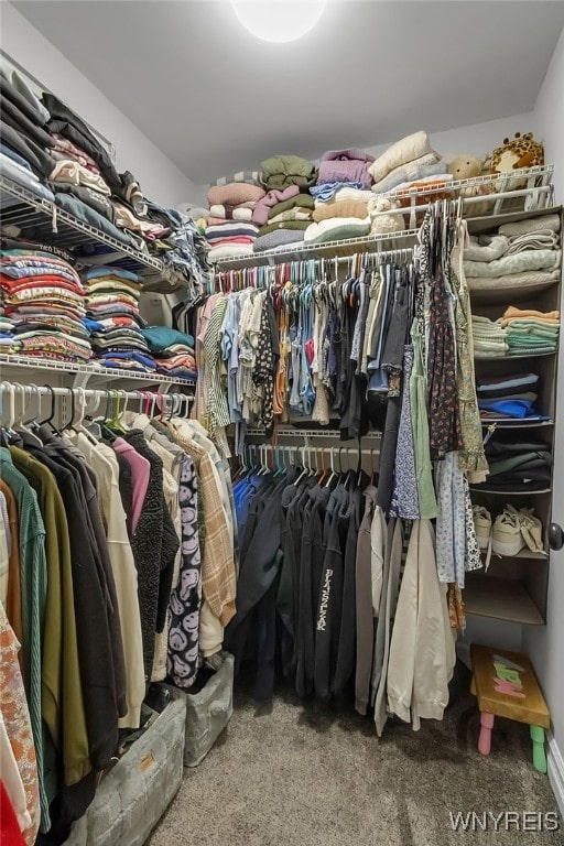 6132 Railroad St, Clarence, NY 14032 - spacious closet with carpet floors