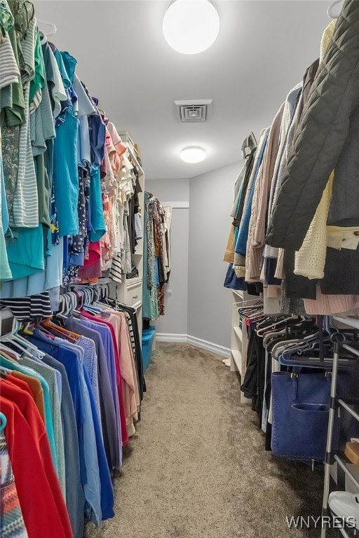 6132 Railroad St, Clarence, NY 14032 - walk in closet with carpet floors