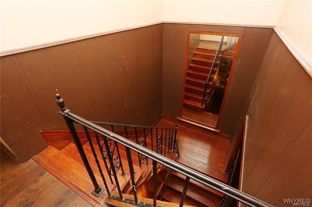 2300 Main St, Buffalo, NY 14214 - photo 32
