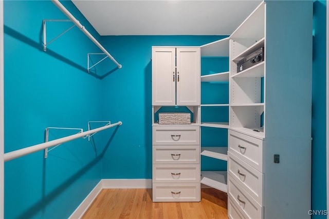 134 County Route 23a, Constantia, NY 13044 - walk in closet with light wood-style floors