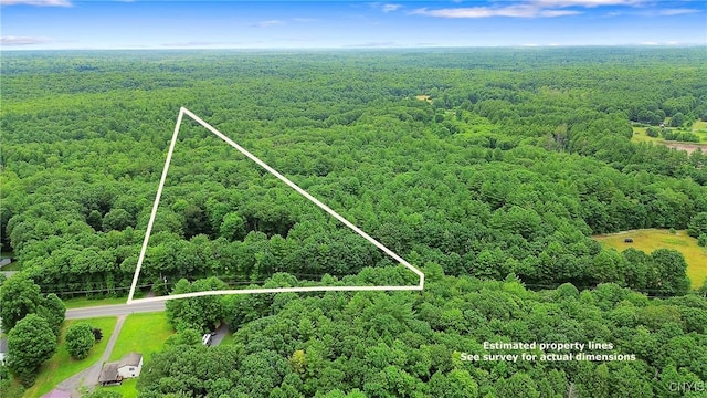 134 County Route 23a, Constantia, NY 13044 - aerial overview of property's location featuring a heavily wooded area and property boundaries highlighted