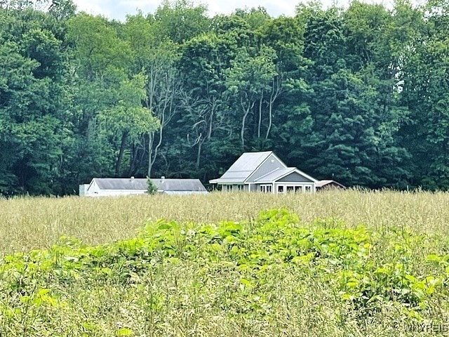 2473 Bunker Hill Rd, Cold Spring, NY 14772 - view of yard with a wooded view