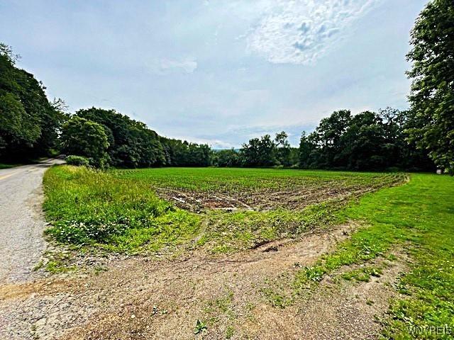 2473 Bunker Hill Rd, Cold Spring, NY 14772 - view of undeveloped land