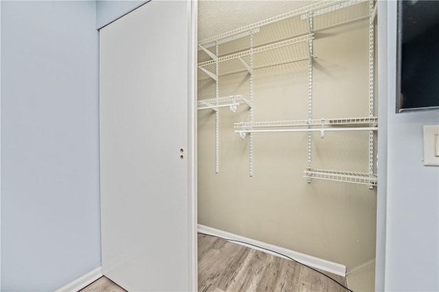 24 Huntsman, Webster, NY 14580 - walk in closet featuring wood finished floors