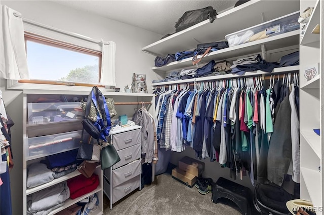 130 Hi View Ter, West Seneca, NY 14224 - walk in closet with carpet floors