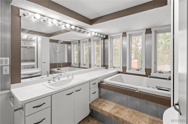 130 Hi View Ter, West Seneca, NY 14224 - bathroom featuring a garden tub, vanity, and healthy amount of natural light