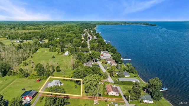 8953 Bushnell Shore Rd, Sullivan, NY 13037 - bird's eye view of a nearby body of water and a forest
