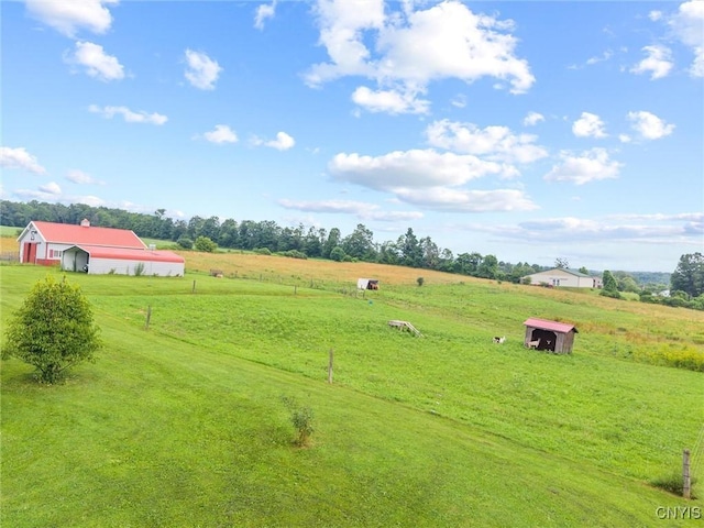 6767 Stauber Rd, Summerhill, NY 13073 - view of green lawn with a view of countryside, a detached garage, driveway, and an outdoor structure