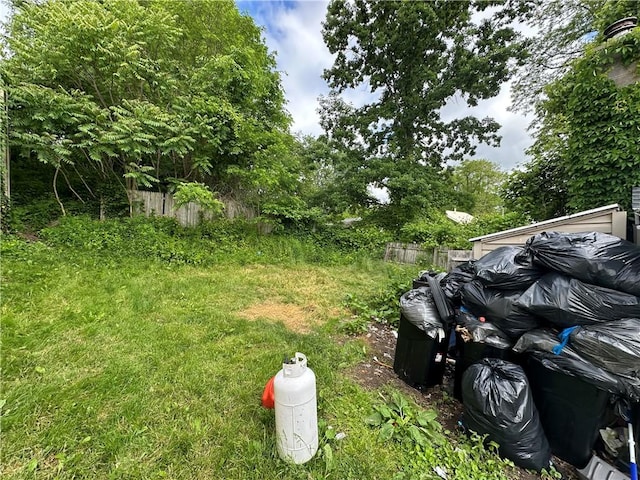 135 William St, Palmyra, NY 14522 - view of yard