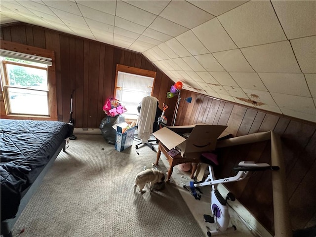 135 William St, Palmyra, NY 14522 - bedroom featuring lofted ceiling, carpet, multiple windows, and wood walls
