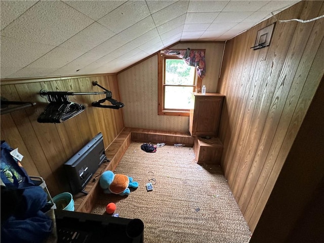 135 William St, Palmyra, NY 14522 - additional living space with wooden walls, vaulted ceiling, and carpet flooring