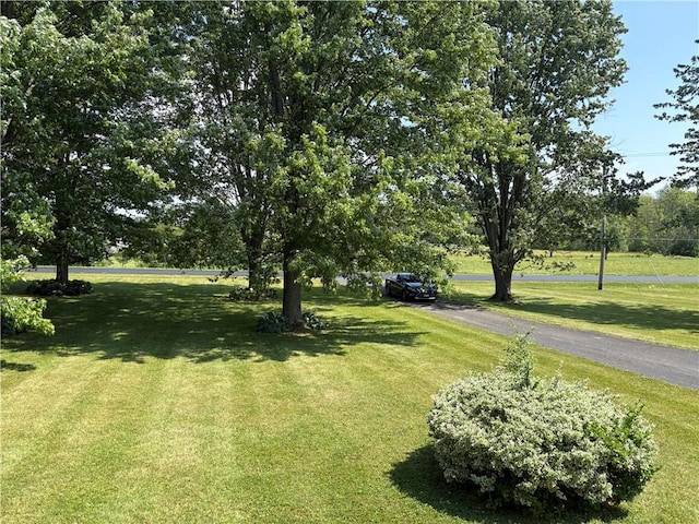 1292 Gassner Rd, Junius, NY 13165 - view of green lawn