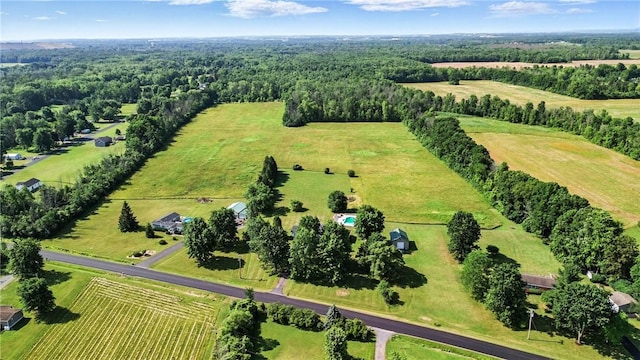 1292 Gassner Rd, Junius, NY 13165 - view of rural area