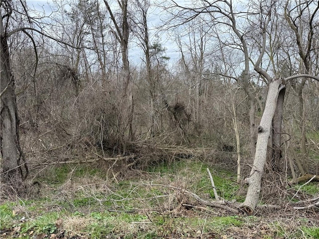 11139 S Lake Rd, Pavilion, NY 14525 - view of woods
