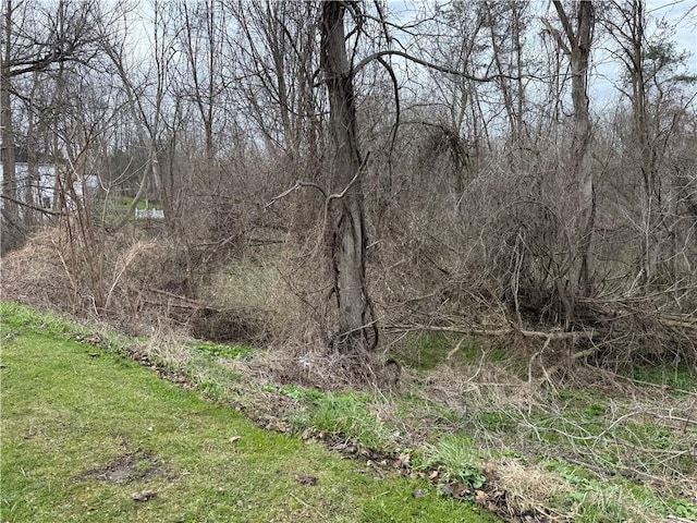 11139 S Lake Rd, Pavilion, NY 14525 - view of yard