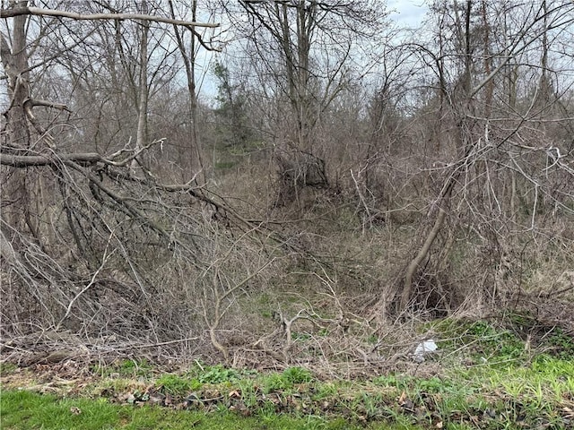 11139 S Lake Rd, Pavilion, NY 14525 - view of local wilderness