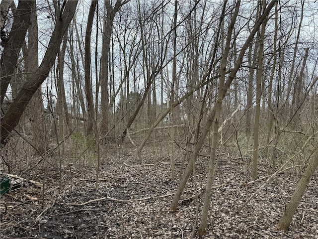 11139 S Lake Rd, Pavilion, NY 14525 - view of local wilderness