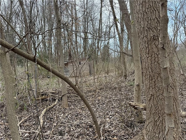 11139 S Lake Rd, Pavilion, NY 14525 - view of local wilderness