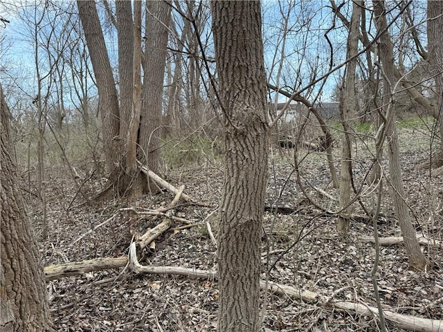 11139 S Lake Rd, Pavilion, NY 14525 - view of undeveloped land