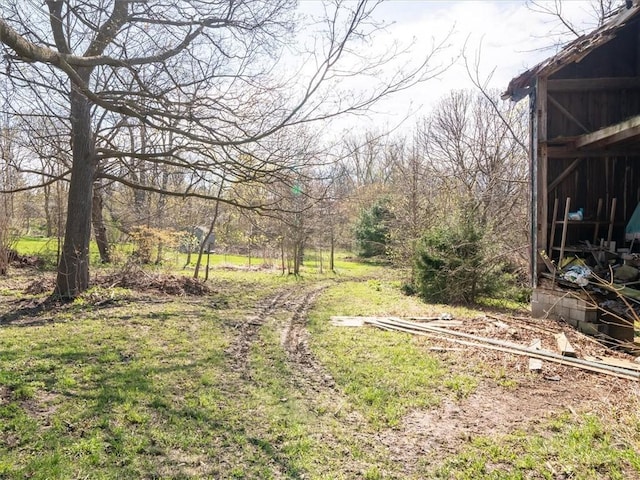 11139 S Lake Rd, Pavilion, NY 14525 - view of yard