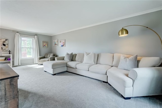 1125 Shoecraft Rd, Webster, NY 14580 - carpeted living room with crown molding