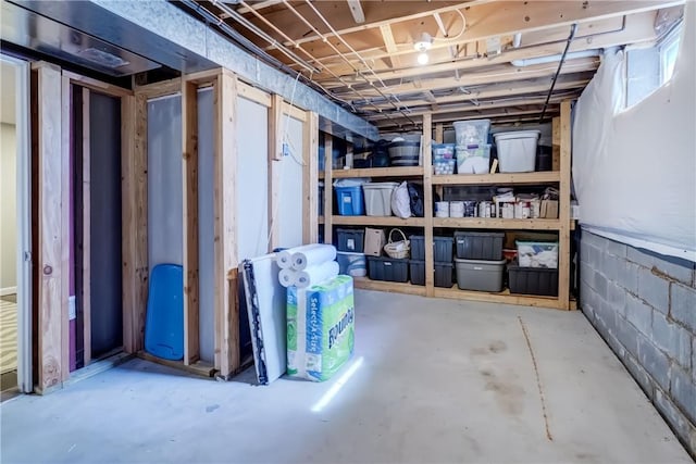 1125 Shoecraft Rd, Webster, NY 14580 - view of storage area