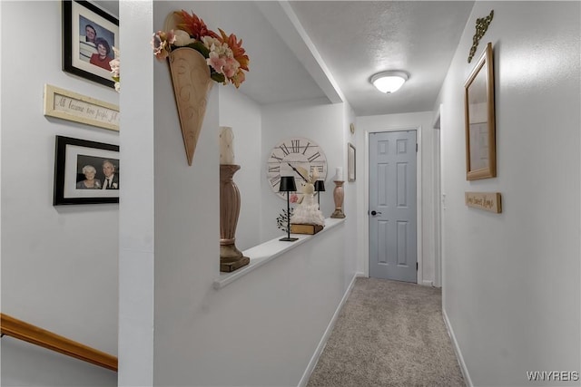 204 French Lea Rd, West Seneca, NY 14224 - hallway featuring carpet flooring and baseboards
