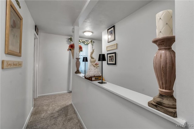 204 French Lea Rd, West Seneca, NY 14224 - hall featuring carpet floors and baseboards