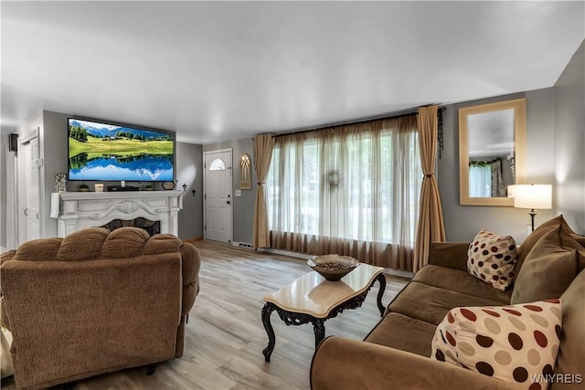 204 French Lea Rd, West Seneca, NY 14224 - living area featuring wood finished floors and a fireplace