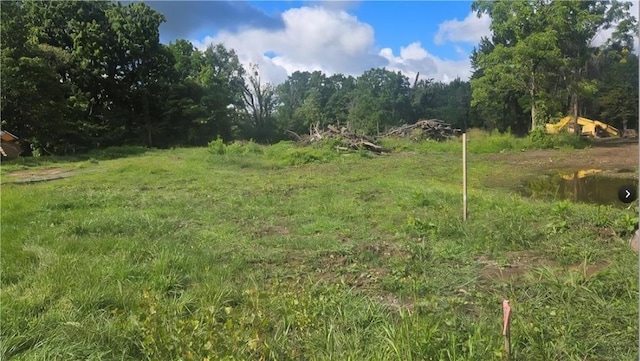 607 A Trimmer Rd, Ogden, NY 14559 - view of local wilderness