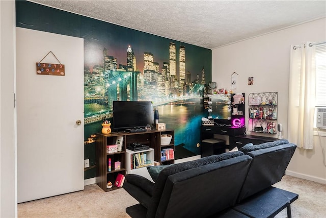 477 Pine Circle Ext, Big Flats, NY 14845 - living area with carpet and a textured ceiling